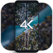 4K Wallpapers APK